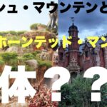 ホーンテッド・マンションとスプラッシュ・マウンテンが合体する計画があった？【複合の話】